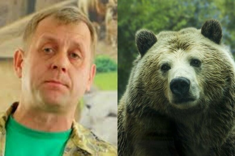 Владелец сафари-парка в Крыму раздает лишних медведей, чтобы их не убили