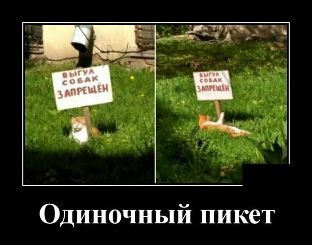 Картинки для настроения