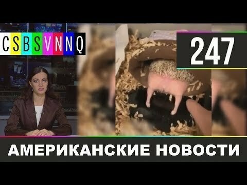 Hack News - Американские новости (Выпуск 247)