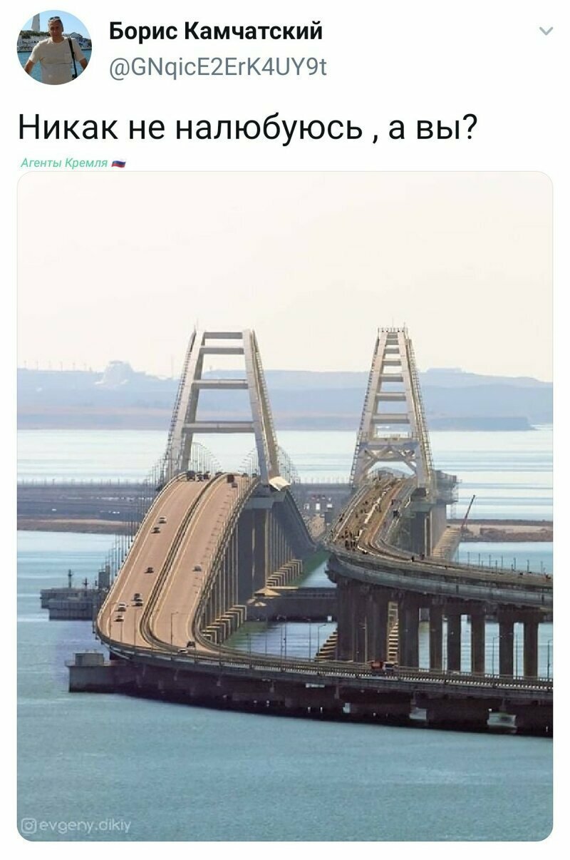 Политические скрины
