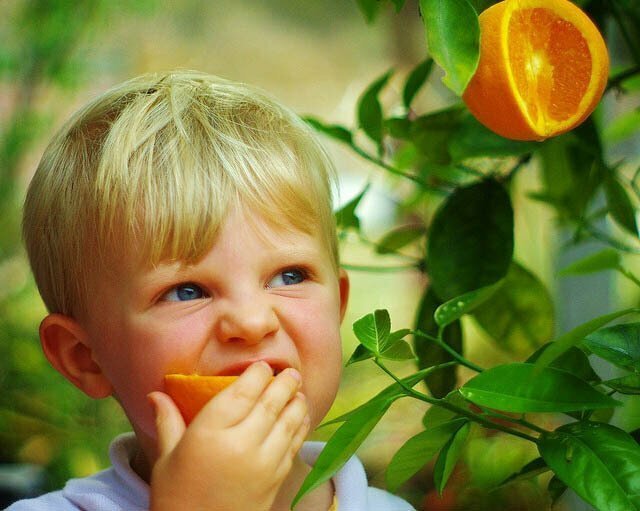 Почему при хранении апельсины приобретают кислый вкус?