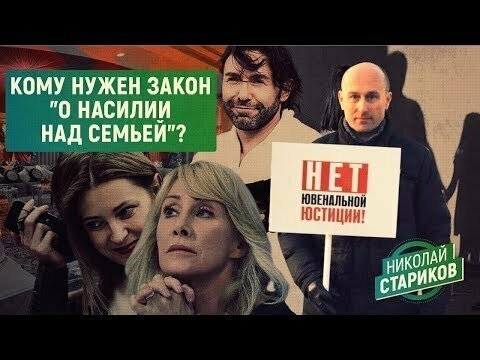 Николай Стариков: Кому нужен закон «о нacилии над семьей»