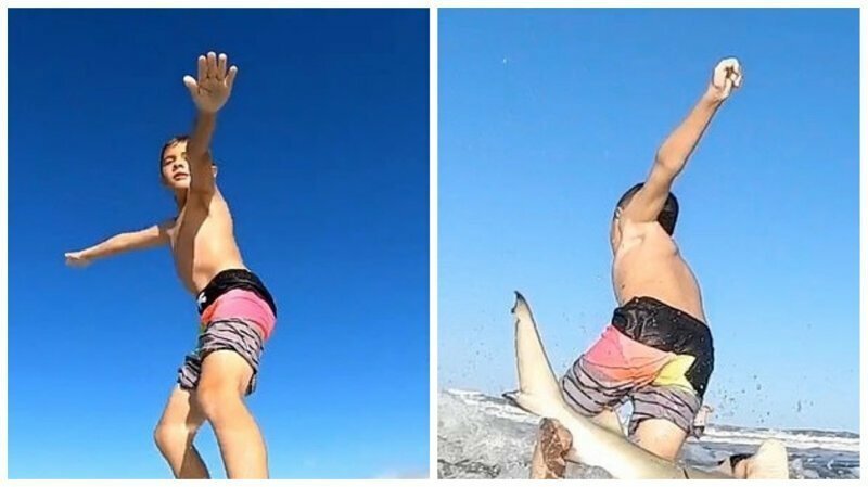 9-летний серфер снял нападение акулы на камеру GoPro