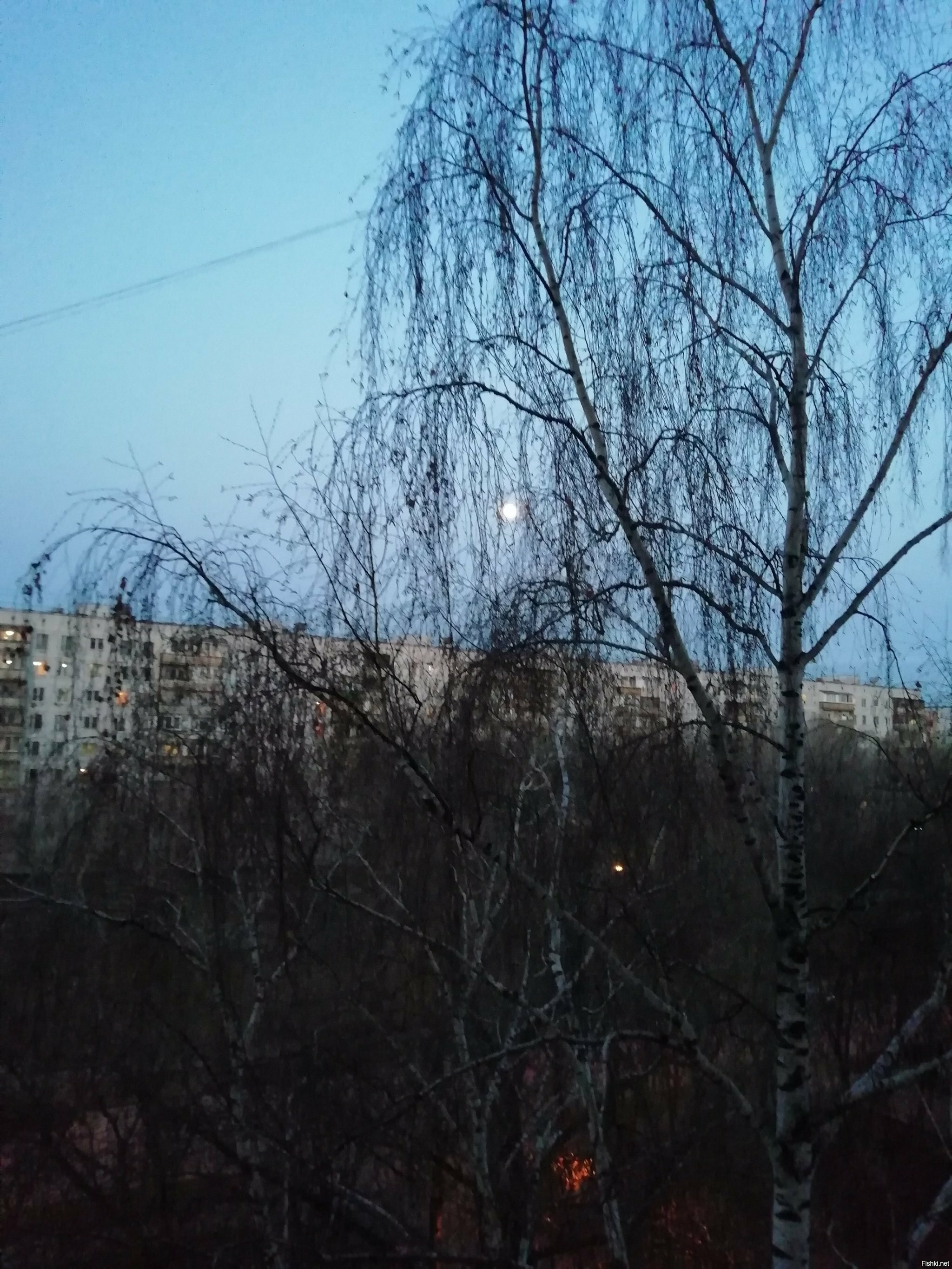 Солянка
