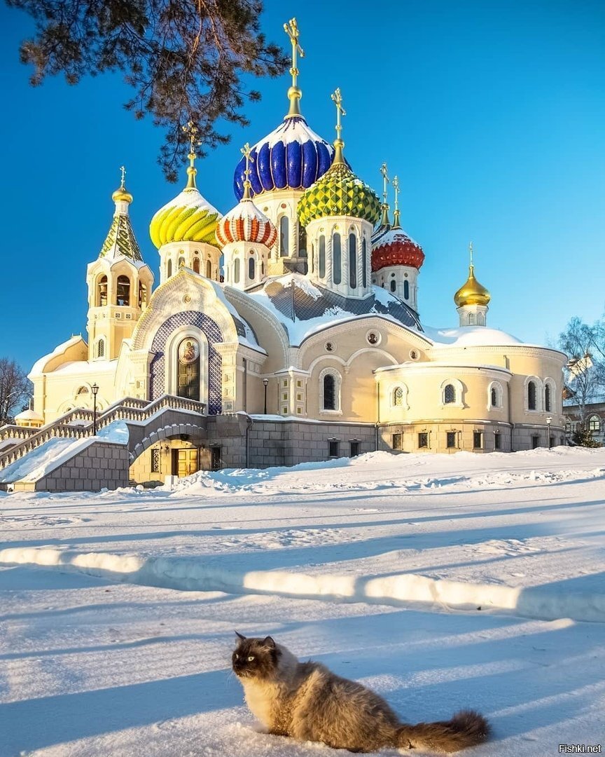Солянка