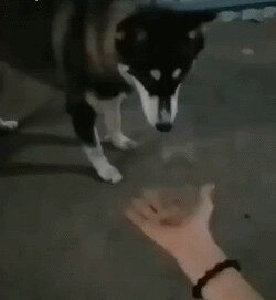 - Давай дружить