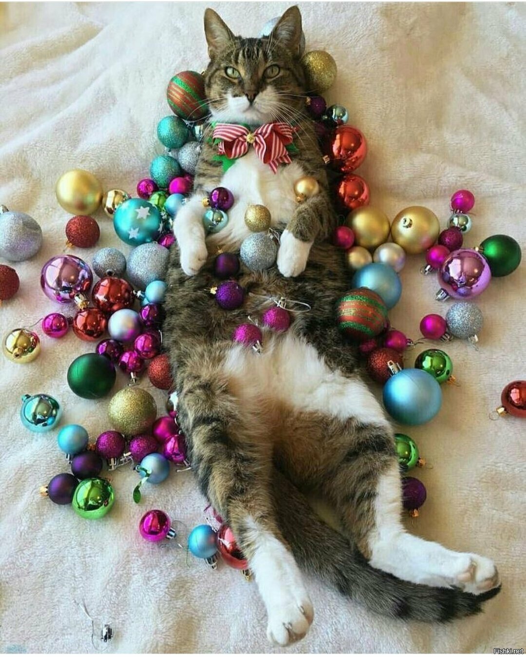 Солянка