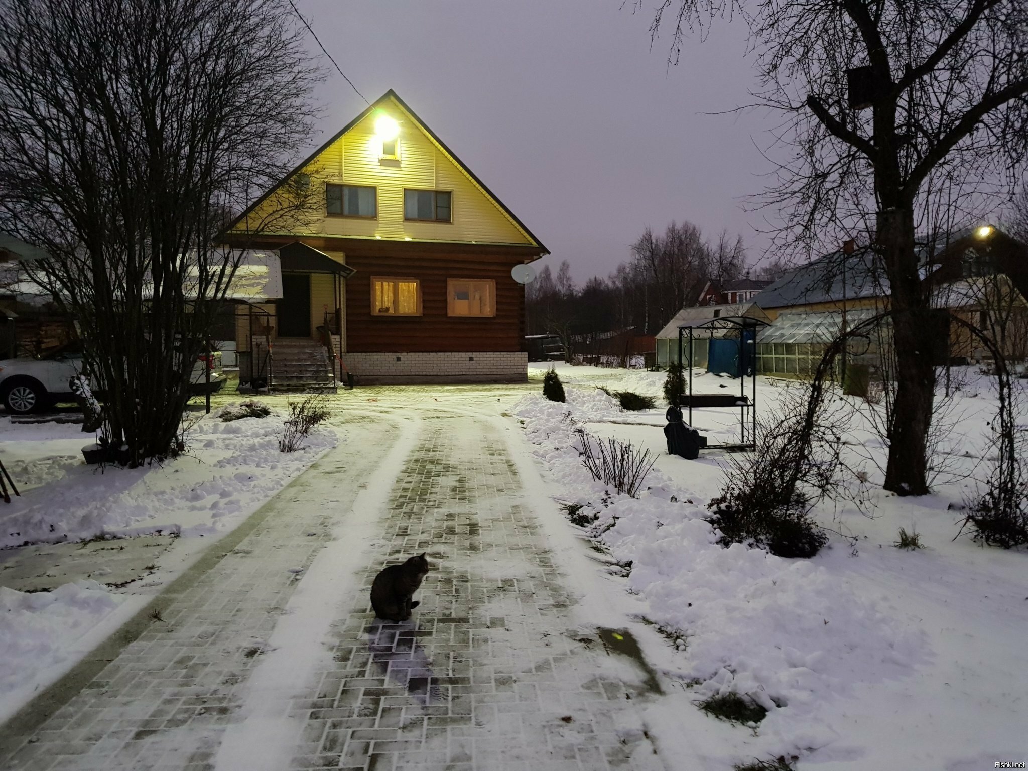 Зима