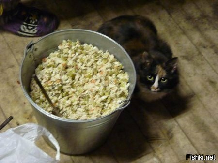 Солянка