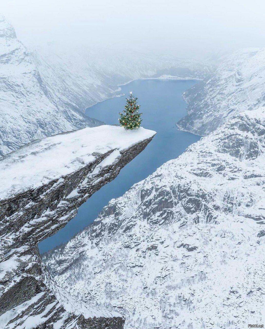 Елочка на Trolltunga 