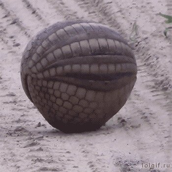 Солянка