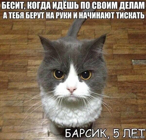 Цитата дня