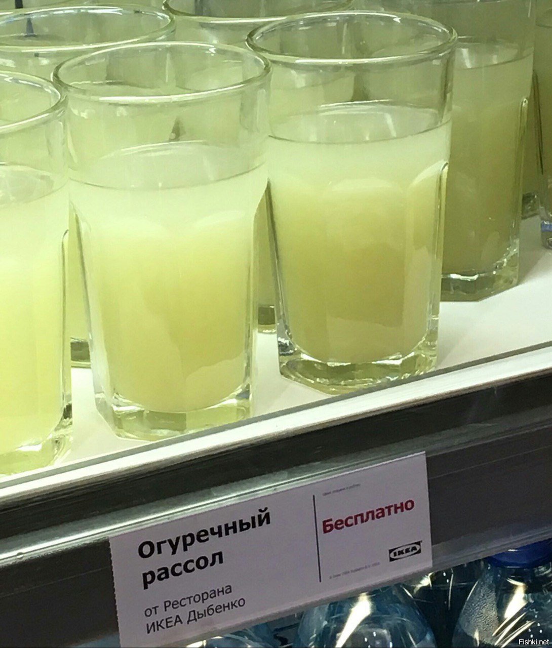 Солянка
