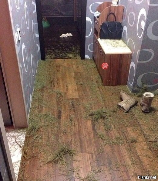 Солянка