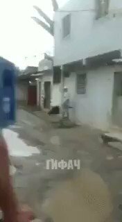 И этот пид