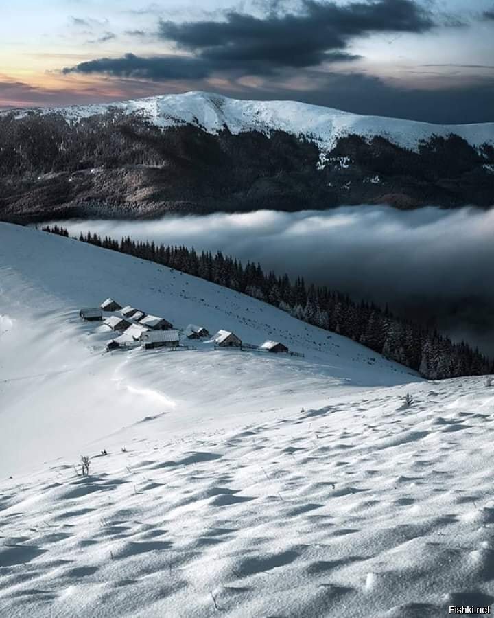 Солянка