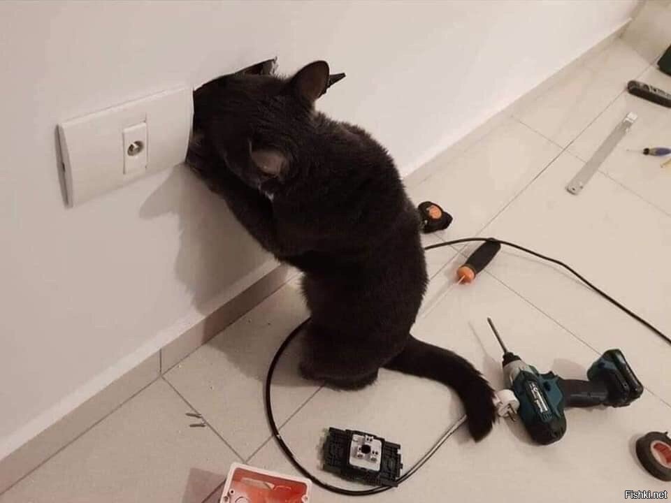 - А не