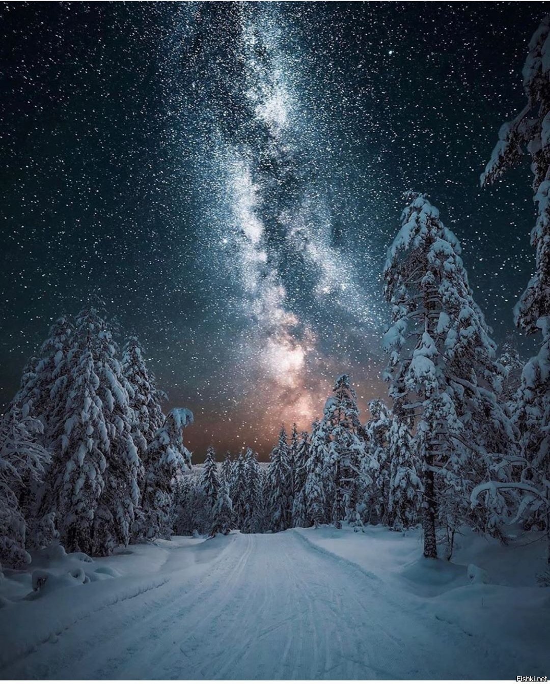 Солянка