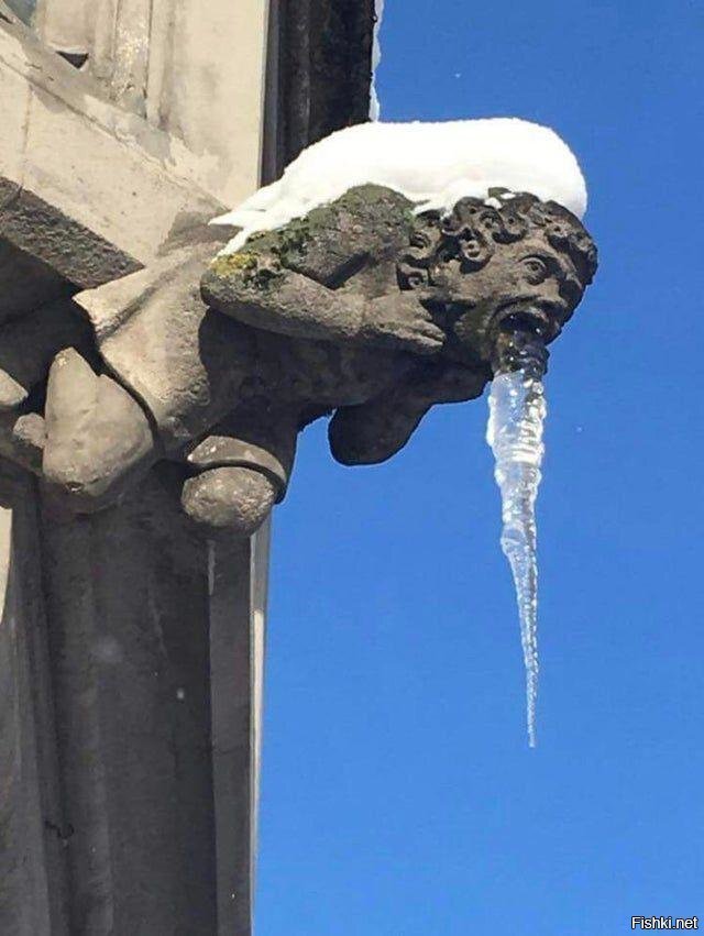 Солянка