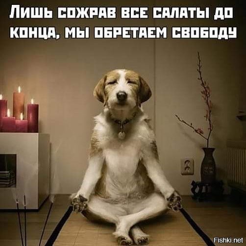 Солянка