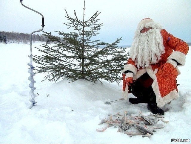 - Дед, ты где