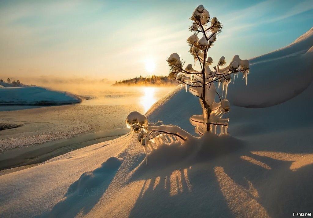 Солянка