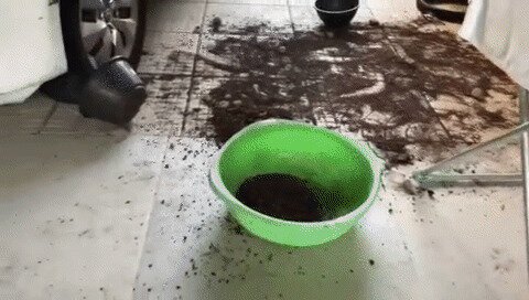 Солянка