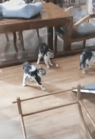 Солянка