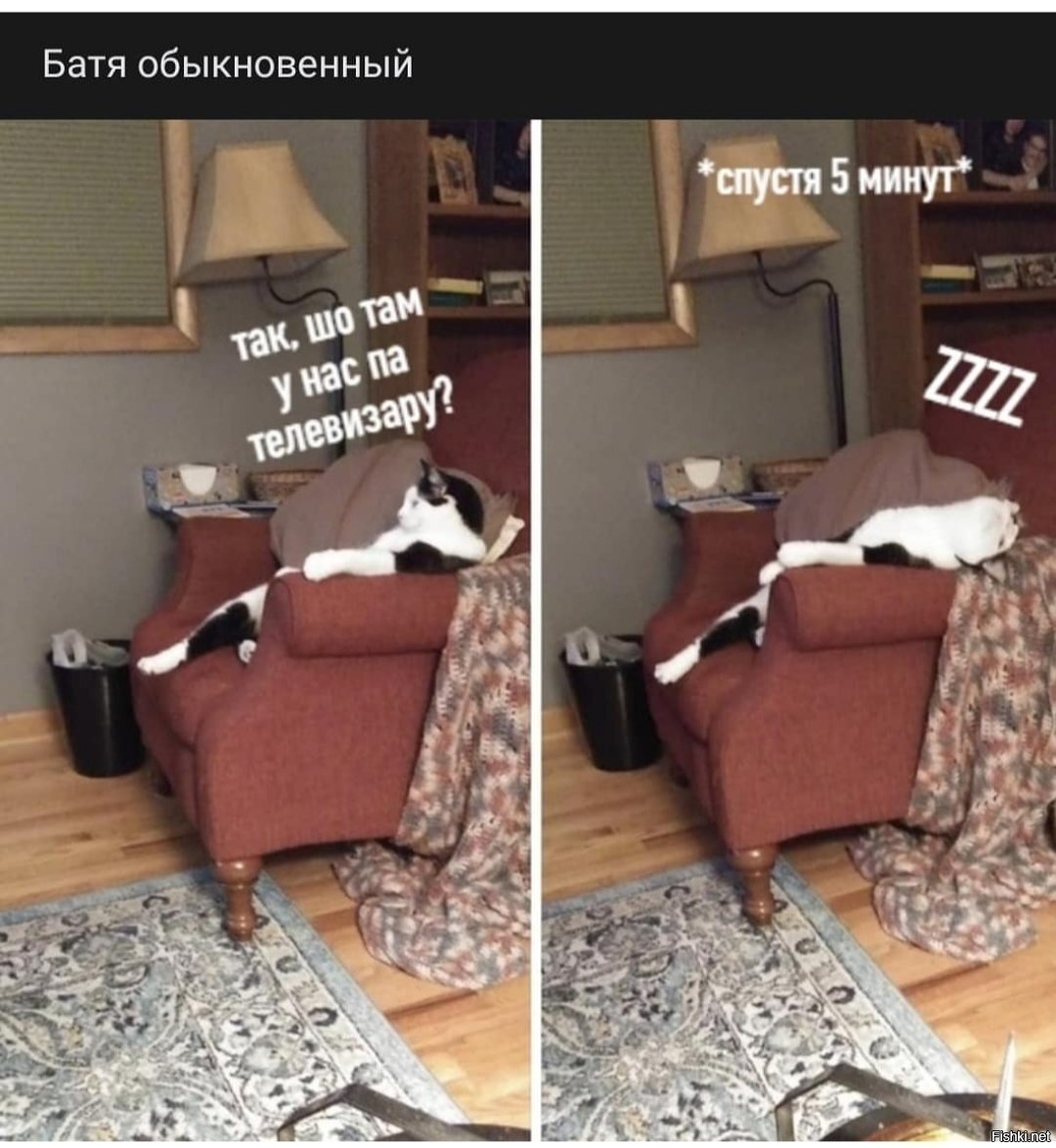 Солянка