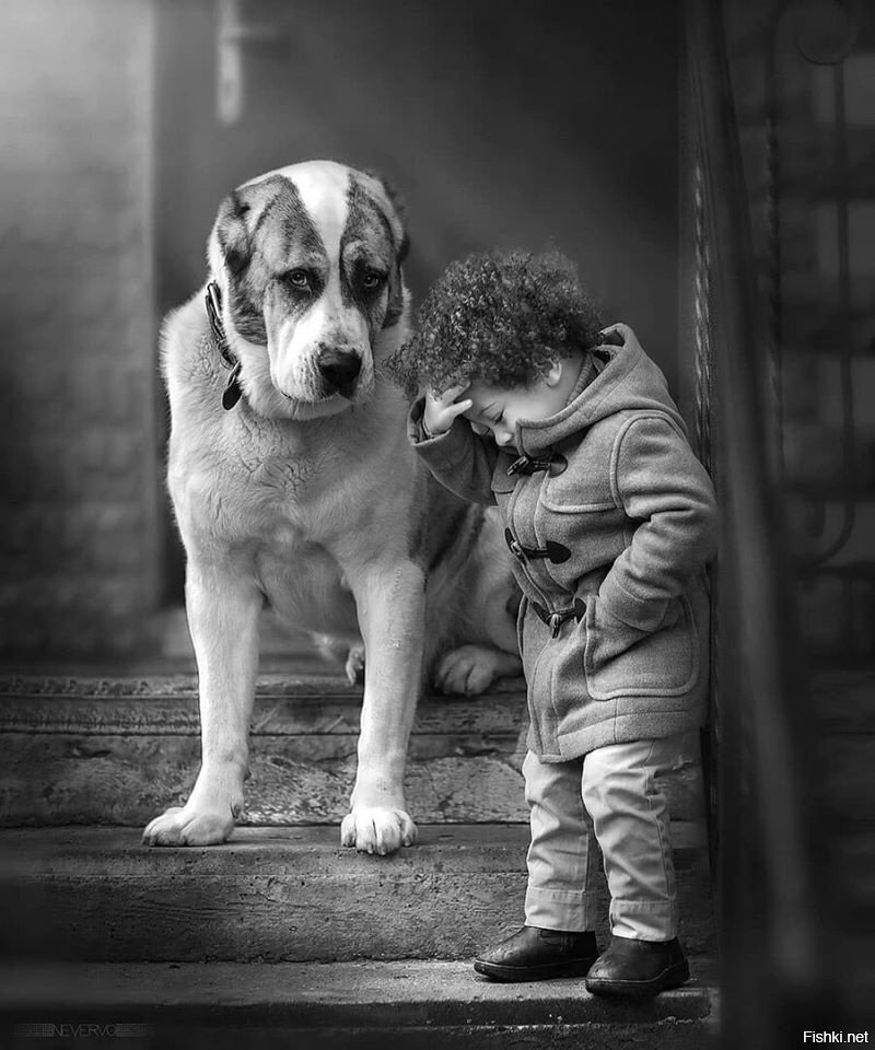 Фотограф из России  Oleg Golishnikov