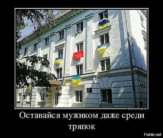 Нате безьяйцовые, минусите