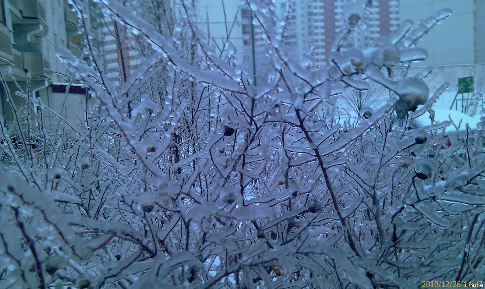 Красиво было в декабре 2010