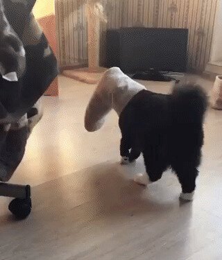 Странные игры
