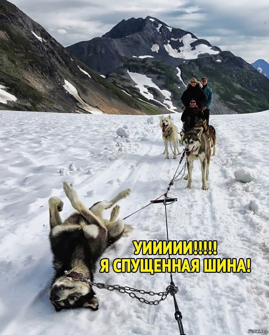 Солянка