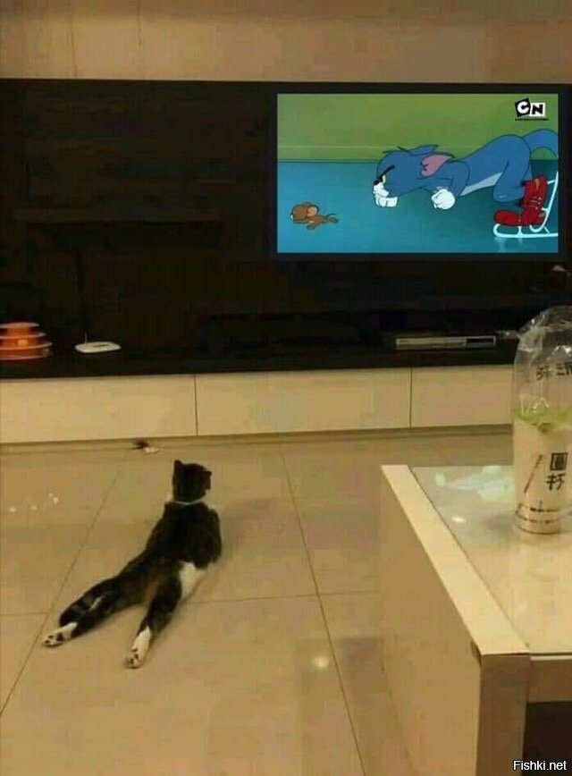 Солянка