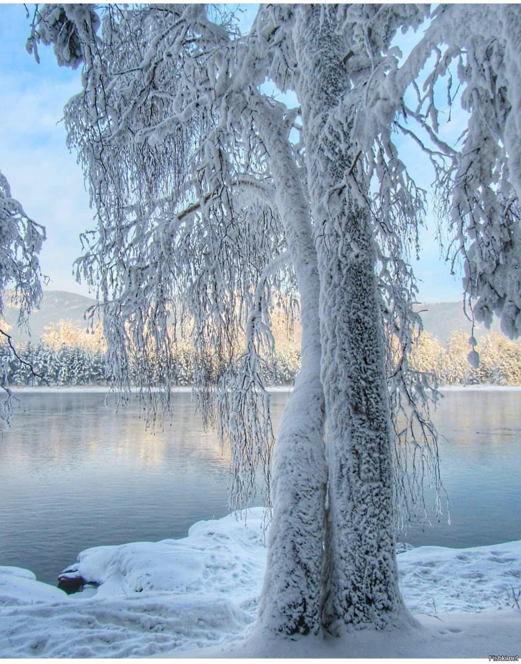 Солянка