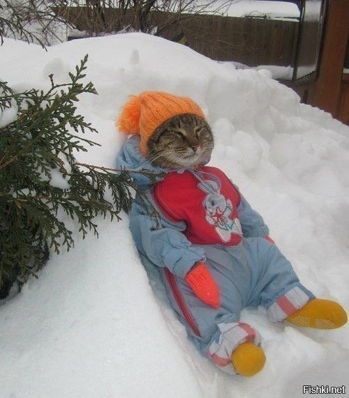 Солянка