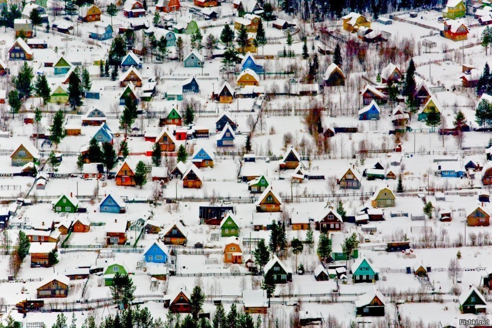 Солянка