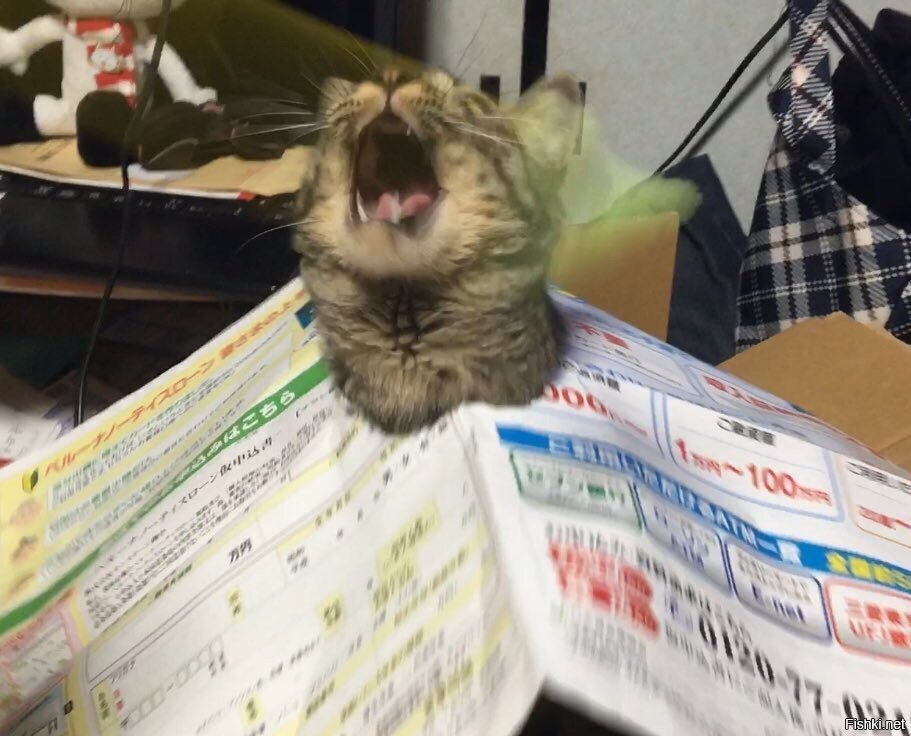 Солянка