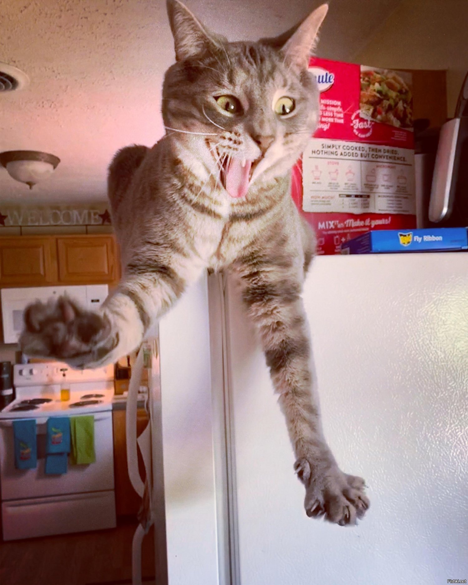 Солянка