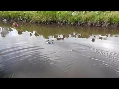 ого
