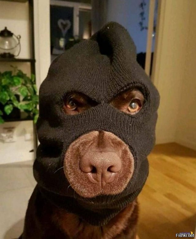 есть чё