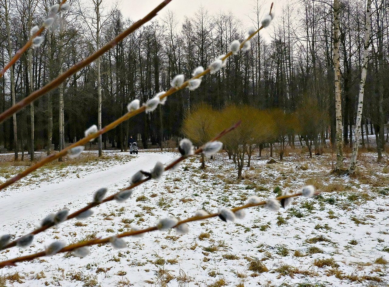 Парк Новознаменка