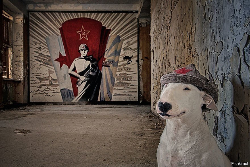 Солянка