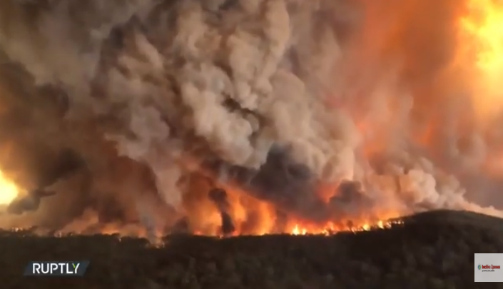 В Австралии не утихают лесные пожары, сообщается об 1 млрд. погибших животных