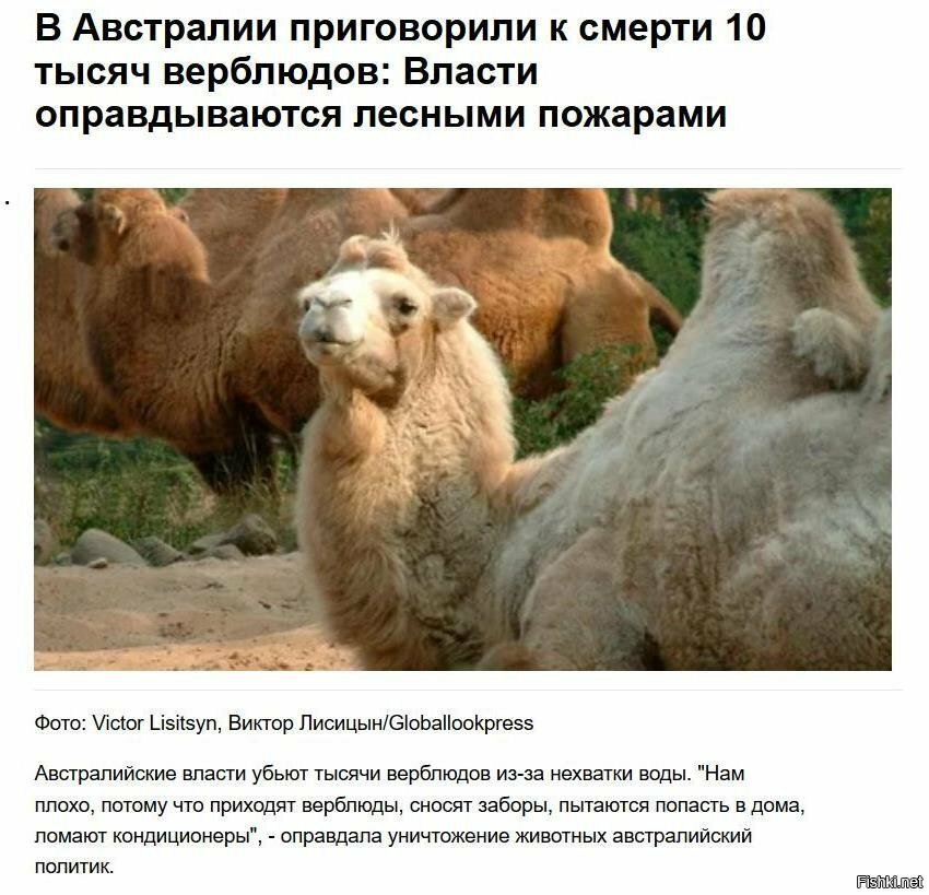 Если в кране нет воды