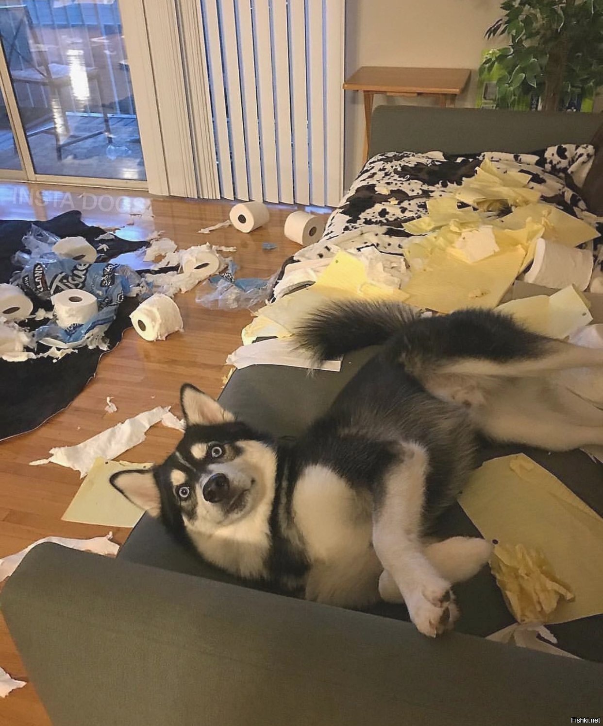 Солянка