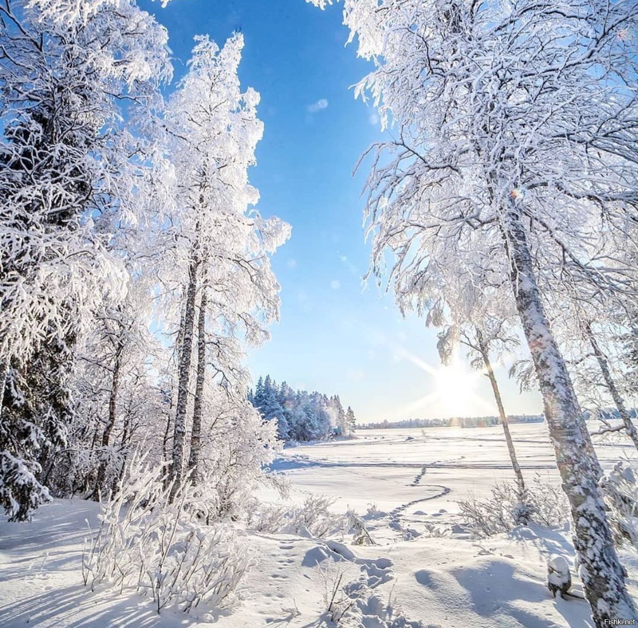 Солянка
