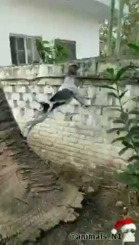 most и галочка