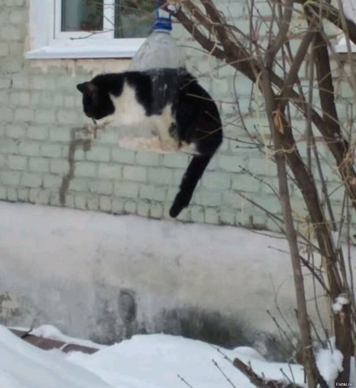 Солянка